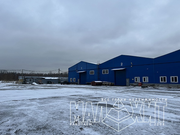 Промзона Мурино, Сквозной пр., 6 - Склад 968 м²